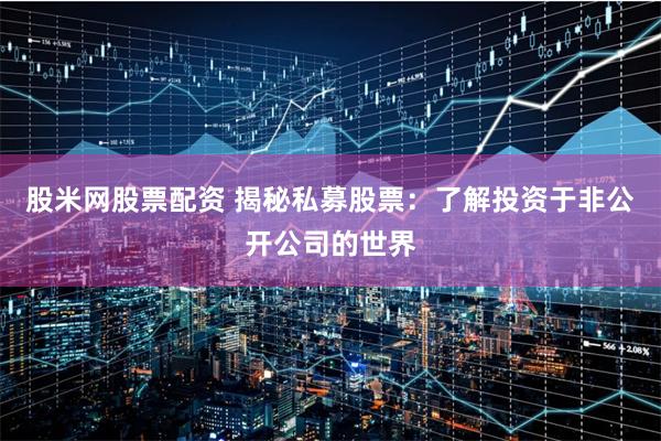 股米网股票配资 揭秘私募股票：了解投资于非公开公司的世界
